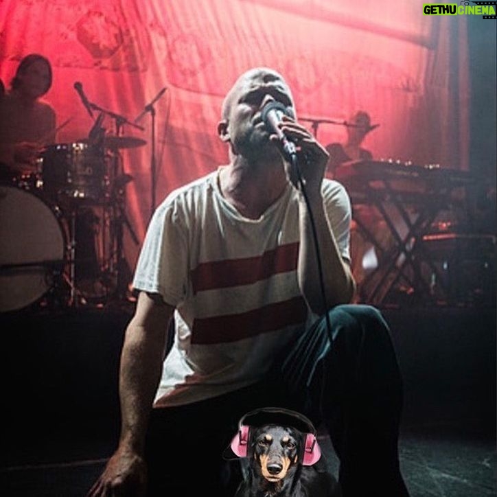Hanna Hellquist Instagram - Jag vill rikta ett stort tack till @petrinahinas som så snabbt och rådigt löste en krånglig hund-konsert-situation.