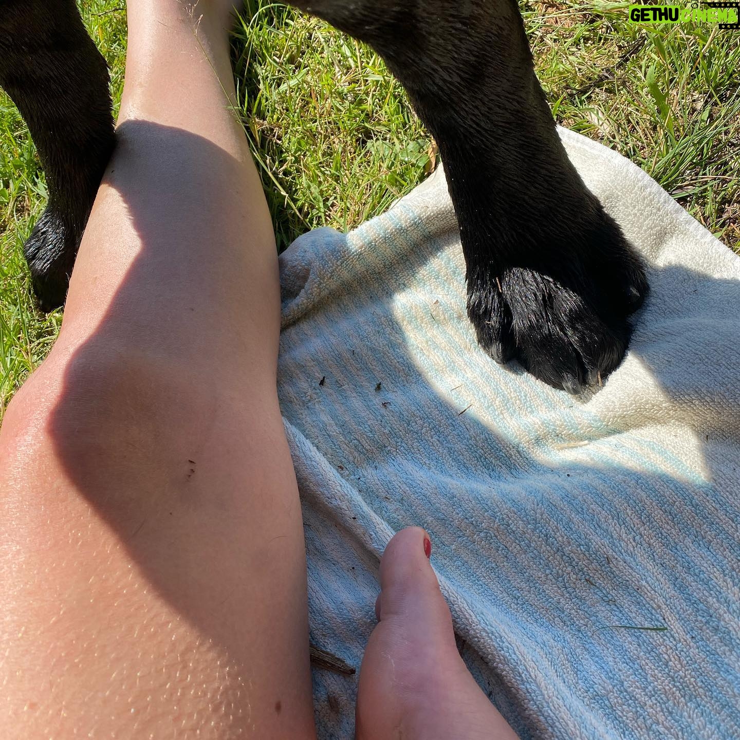 Hanna Hellquist Instagram - Hot girl/black dog summer. @evaelinak