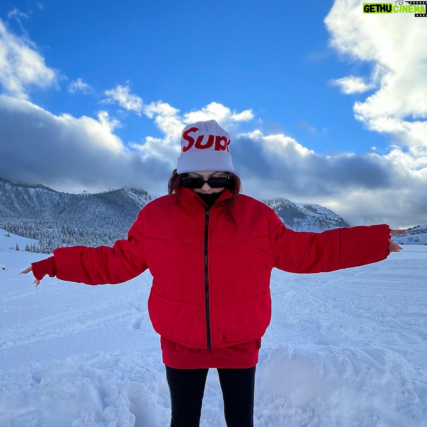 Hannah Zeile - 3 Likes - ❄️❄️❄️