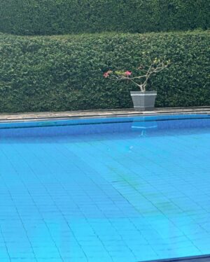 Hannah Al Rashid Instagram - Life lately…

#goblokglam 
#pencaksilat