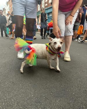 Hannah van der Westhuysen Instagram - Pride was very hot and sexy xoxo