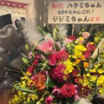Harami-chan Instagram – サントリーホール東京初日に素敵なお花ありがとうございます!!✨✨💐
いつもお米さんや関係者様の愛のこもっててクリエイティブなフラスタに感動しっぱなし😭😭😭😭
全部持って帰りたい….
#ハラミちゃん生音コンサート
#ハラミちゃん5周年ツアー
#サントリーホール
– – – – – – – – – – – – – – – – – ✄
5月から全国ツアーやるぬーー‼️🎹✨
ハラミ史上初‼️
サントリーホール等のクラシックホールにて
/
スピーカーなし
全 曲 生 音
\
憧れのクラシックホール😭✨
🎫チケット発売中🔥🔥
イープラス eplus.jp/harami/
mu-mo r.y-tickets.jp/haramichan2402
ぴあ w.pia.jp/t/harami/
ローチケ l-tike.com/harami/
【🔍生音コンサート チケット ハラミちゃん】
– – – – – – – – – – – – – – – – – ✄
【公演情報】
〈大阪〉 日程:2024年6月2日(日) 開場 15:00 開演16:00
会場:ザ・シンフォニーホール
〈愛知〉 日程:2024年6月8日(土) 開場 15:00 開演16:00
会場:名古屋国際会議場センチュリーホール
〈石川〉 日程:2024年6月23日(日) 開場 15:00 開演16:00
会場:石川県立音楽堂 コンサートホール
〈香川〉 日程:2024年7月13日(土) 開場 15:00 開演16:00
会場:サンポートホール高松 大ホール
〈北海道〉 日時:2024年7月15日(月祝) 開場 15:00 開演16:00
会場:札幌文化芸術劇場hitaru
〈静岡〉 日程:2024年8月11日(日) 開場 15:00 開演16:00
会場:三島市民文化会館 ゆうゆうホール
〈広島〉 日程:2024年9月8日(日) 開場 15:00 開演16:00
会場:広島国際会議場 フェニックスホール
and more…!!
– – – – – – – – – – – – – – – – – ✄