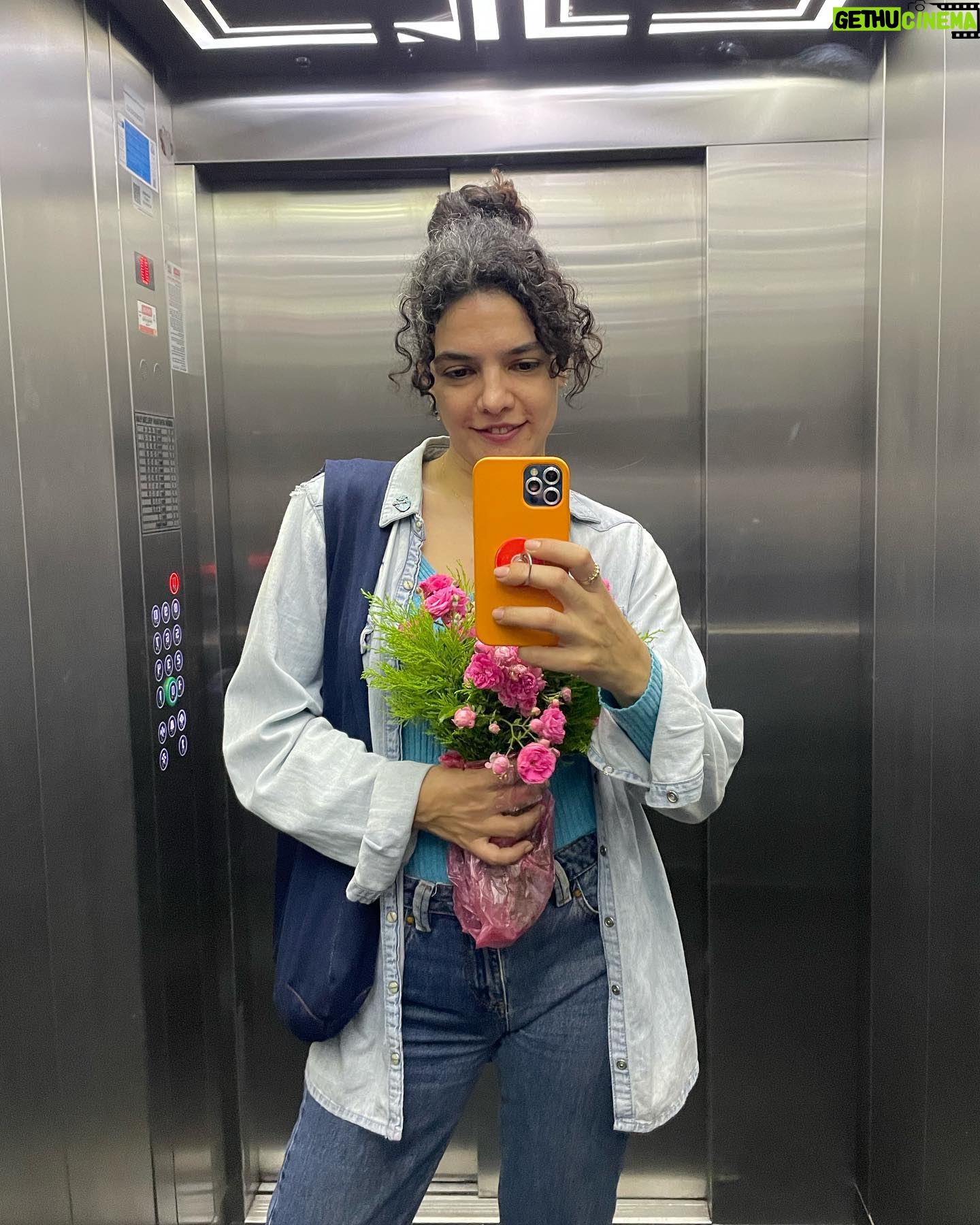 Hare Sürel - 8.2K Likes - 🐇🌸🌿🦋