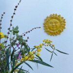 Hare Sürel Instagram - 🪸🌞☮️🌿🌸