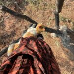 Hare Sürel Instagram – Geçtiğimiz bahar üç arkadaş 30 yıldır girilmemiş bir bahçeye girdik, bir yıl sonra bu bahar sofrada zeytinler… Sanırım acı bir zeytini bir daha asla tüküremeyeceğim:)

Bahçeden ayrı bir hayatımız yok. Dünya denen o bahçe, hafıza denen o bahçe…

Sabır, gayret ve sevgi diliyorum🌿