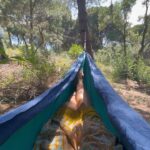 Hare Sürel Instagram - sarıp sarmalamak 🌳🌲🌴