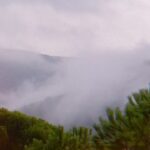 Hare Sürel Instagram – ⛩️🎶🌿🐦‍⬛