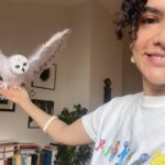 Hare Sürel Instagram - Evde beni bekleyen baykuş 🤍🪽 O kadar güzel bir hediye ki, teşekkür ederim:) @nintipuppet 💚🦉 @simurgkusyuvasi