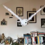 Hare Sürel Instagram - Evde beni bekleyen baykuş 🤍🪽 O kadar güzel bir hediye ki, teşekkür ederim:) @nintipuppet 💚🦉 @simurgkusyuvasi