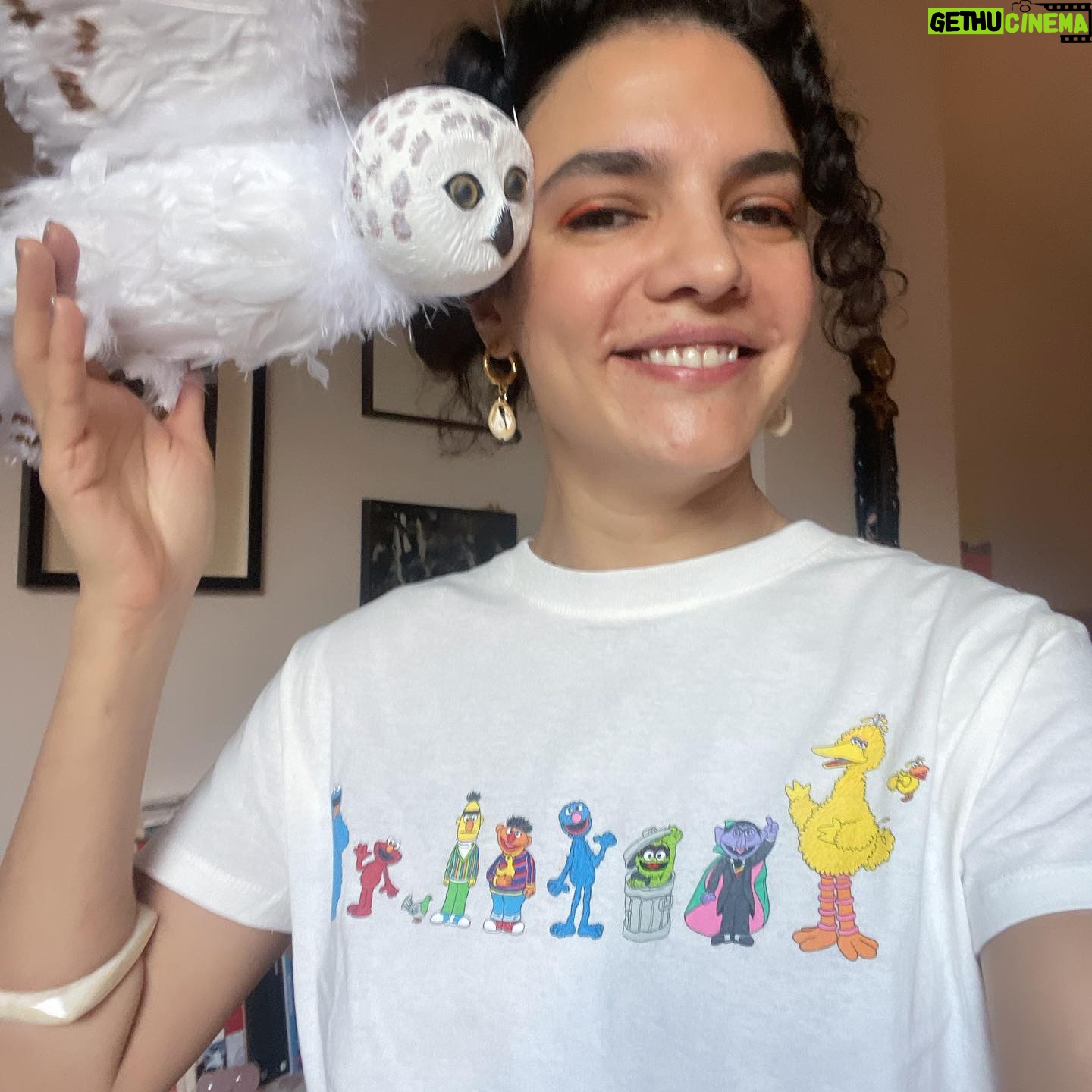 Hare Sürel Instagram - Evde beni bekleyen baykuş 🤍🪽 O kadar güzel bir hediye ki, teşekkür ederim:) @nintipuppet 💚🦉 @simurgkusyuvasi