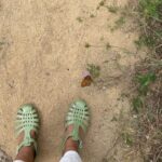 Hare Sürel Instagram – sarıp sarmalamak 🌳🌲🌴