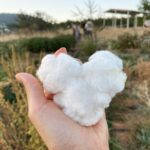Hare Sürel Instagram – Pamuk bir kalp olarak doğduk her birimiz:)
Taş ağırlığında değil, pamuk hafifliğinde ısınıp sarılabileceğimiz günler diliyorum🤍