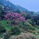 Harley Quinn Smith Instagram - Mendocino! 🦭💐🌊🦌 part two of a dreamy vegan vacation 💝