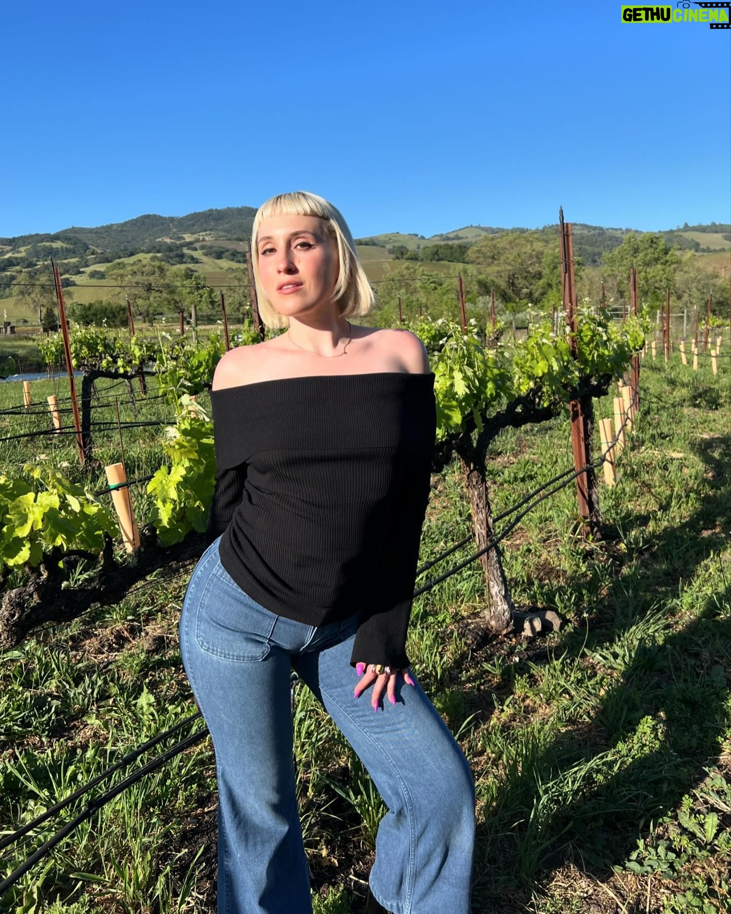 Harley Quinn Smith Instagram - Sonoma ❤️🔥🍷🕊️🐷🦩 part one of a dreamy vegan vacation 🎀