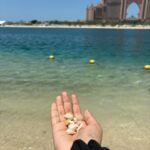 Harshita Ojha Instagram - Mentally,i am still here ✨ #dubai #abudhabi #atlantis #harshitaojha