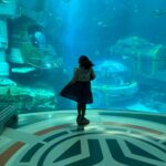 Harshita Ojha Instagram - Abu dhabi day 3 and the last day was the best one,someone take me back to sea world 🧿❤️ #abudhabi #travel #dubai #seaworld #harshitaojha