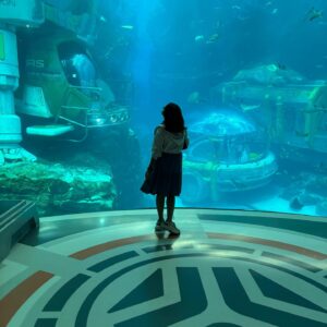 Harshita Ojha Instagram - Abu dhabi day 3 and the last day was the best one,someone take me back to sea world 🧿❤️
#abudhabi #travel #dubai #seaworld #harshitaojha