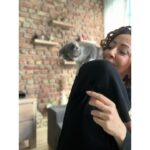 Hasibe Eren Instagram - Kasım Z raporu 🍁 ⚠️ Dump, dişleri yerinden zangırdatacak tatlılıkta pati içermektedir ⚠️