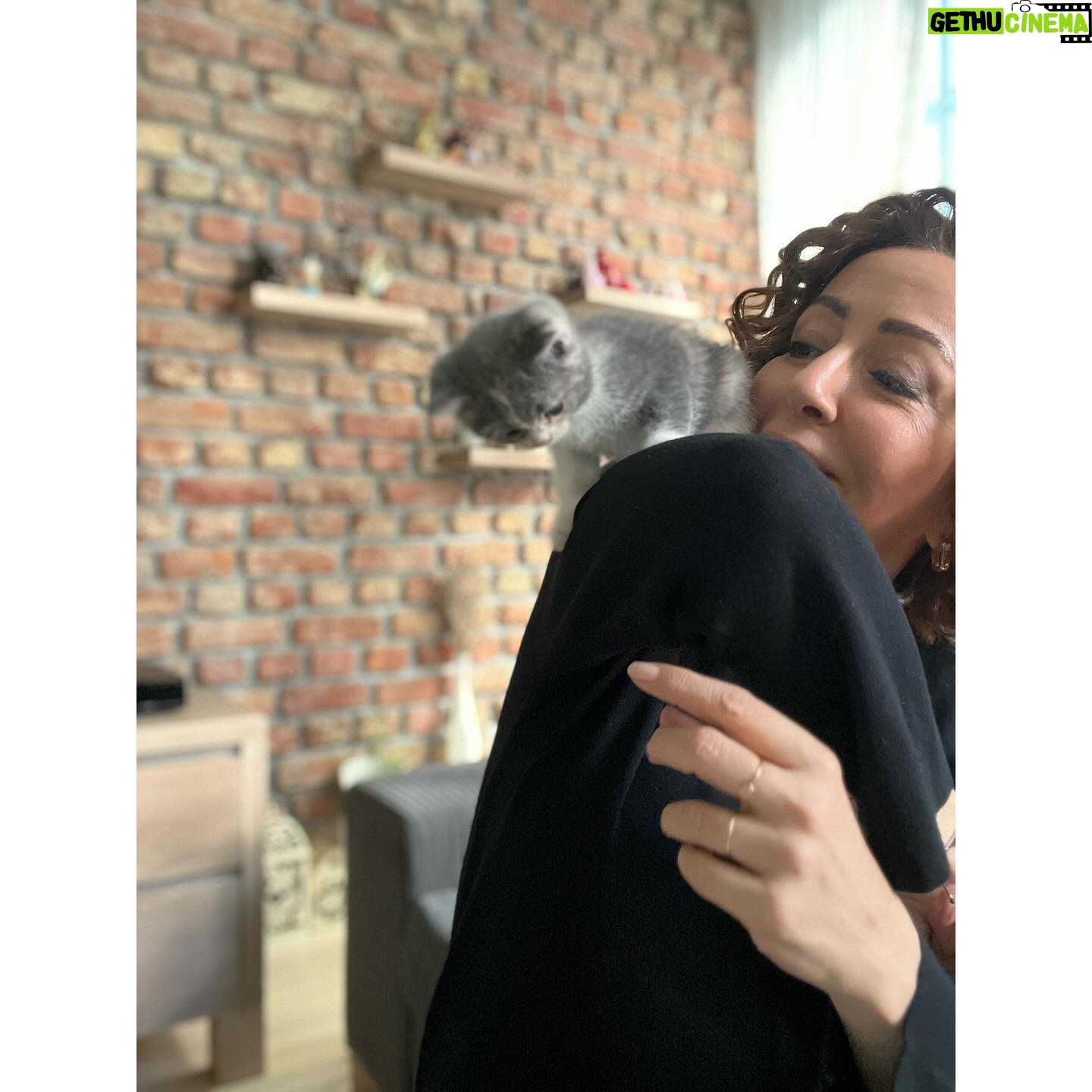 Hasibe Eren Instagram - Kasım Z raporu 🍁 ⚠️ Dump, dişleri yerinden zangırdatacak tatlılıkta pati içermektedir ⚠️