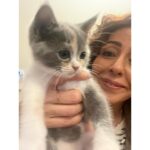 Hasibe Eren Instagram - Kasım Z raporu 🍁 ⚠️ Dump, dişleri yerinden zangırdatacak tatlılıkta pati içermektedir ⚠️