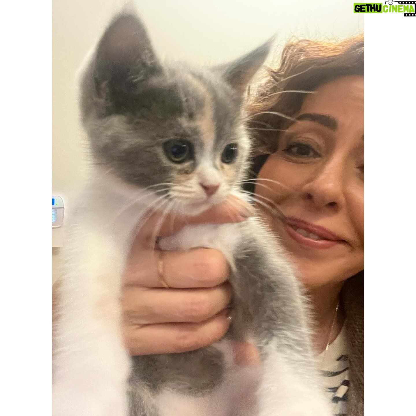 Hasibe Eren Instagram - Kasım Z raporu 🍁 ⚠️ Dump, dişleri yerinden zangırdatacak tatlılıkta pati içermektedir ⚠️