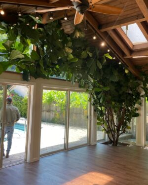 Hayley Law Instagram - Palm trees, sunshine, enchiladas, record setting fig trees & date nights. 🤗 I like it