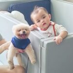 Hayley Woo Instagram - Happy 1 year old my dearest baby @jantanjinyan! 姨姨永远爱你多多 🥰