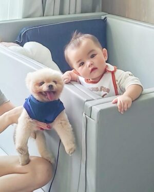 Hayley Woo Instagram - Happy 1 year old my dearest baby @jantanjinyan!
姨姨永远爱你多多 🥰