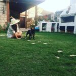 Hazal Adıyaman Instagram - Eğer bir gün Alaçatı'ya gelmek bu dünya tatlısı arkadaşımız Tina tarafından karşılanmak isterseniz adres @maydonozotelbyzevkliler 🦋 Tüm misafirperverliğiniz tüm yardımlarınız için çok teşekkürler, gerçekten daha huzurlu bir konaklama süreci hayal edemezdik 😇👋🏻