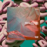 Hazal Benli Instagram - #Rhizome Releases date APR 12,2024