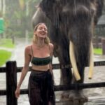 Hazal Benli Instagram - Melted. 🩶🐘 @elephantsbali @masonadventuresbali