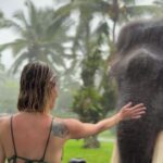 Hazal Benli Instagram - Melted. 🩶🐘 @elephantsbali @masonadventuresbali
