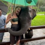 Hazal Benli Instagram - Melted. 🩶🐘 @elephantsbali @masonadventuresbali
