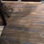 Heather B. Instagram – Here we go again…..

Instead of gettin’ ready for GAME TIME (on @shade45  for SWAY IN THE MORNING he decides to once again have FASHION WARS. 

WHY @realsway ??? 

I stay FLY @realsway 

H.B. @realsway 

ALL DAY @realsway 😃😃😃😃

And SHOUT OUT to @madeinclothinginc
for these 🔥🔥🔥🔥🔥🔥🔥🔥 HOODIES. 

#THEHAPPYHOURWITHHEATHERB
#THANKYOUGOD
