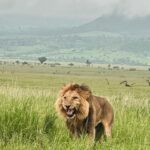 Heather Graham Instagram - Out of Africa 🇰🇪❤️🌍 #kenya