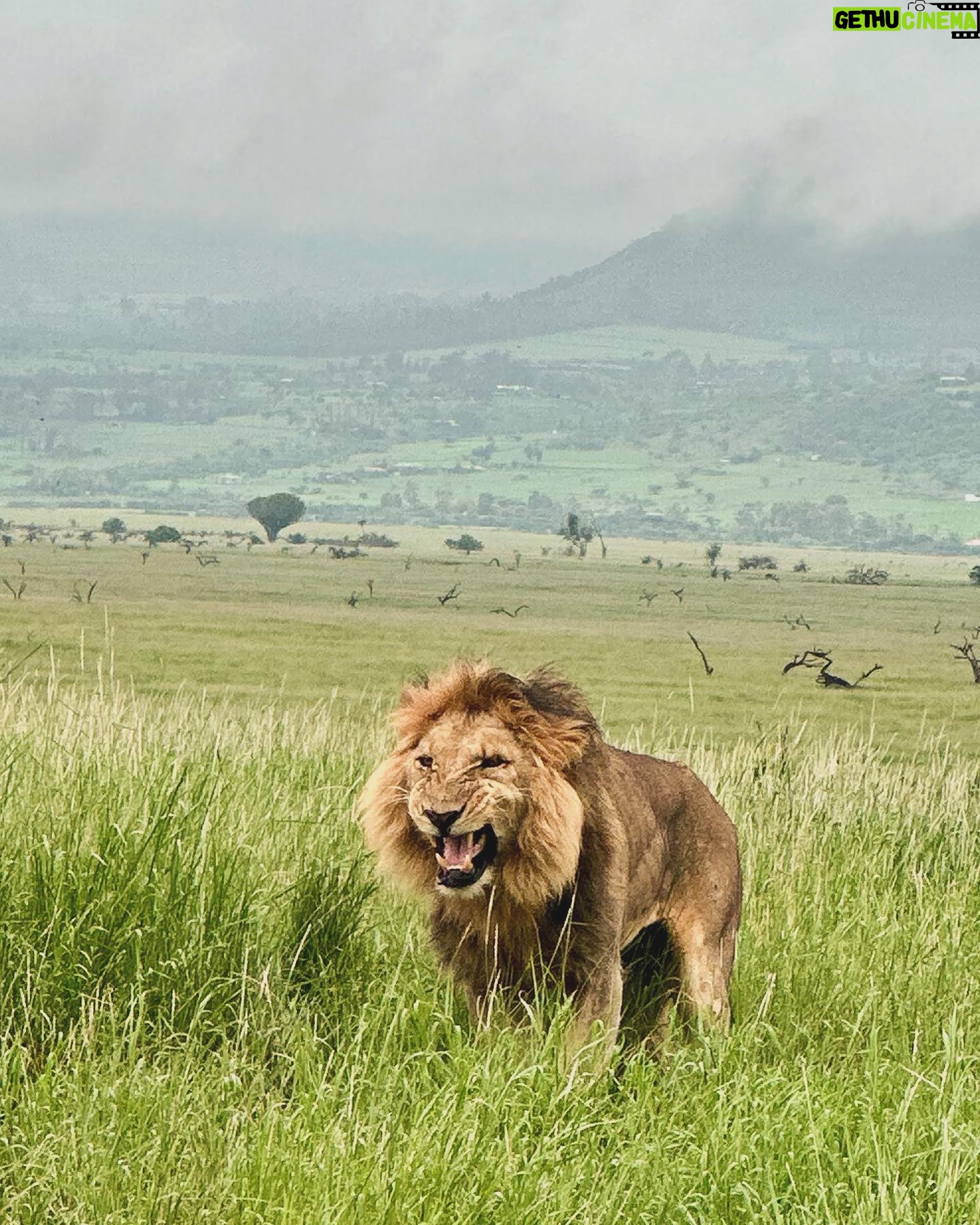 Heather Graham Instagram - Out of Africa 🇰🇪❤️🌍 #kenya