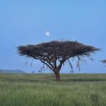Heather Graham Instagram - Out of Africa 🇰🇪❤️🌍 #kenya