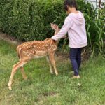 Heather Headley Instagram - My in-loves live in the countryside. Every few years, a fawn gets abandoned, and my sweet Father-in-love takes over and raises it until its ready to be sent back to the woods. This year, they have these two. And with the treatment, care, and love they’re getting, they may never leave this family. I wouldn’t. Actually…I haven’t 😄! #happymonday #deer #countrylife