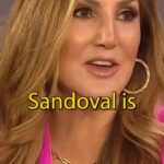 Heather McDonald Instagram - Is this why women arebt further along today? #vanderpumprules #ariana #bravotv #tomsandoval #lala #scheanashay #vanderpumpreunion #realitytv #cheating #breakup #betrayal #loyalty #juicyscoop #heathermcdonald @DBL #heathermcdonald #opinion
