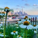Heather Thomson Instagram - cherish those lost, kiss those you have near, be kind to a stranger, never take life for granted. #neverforget ❤️‍🩹 📸: Little Island, New York City #newyork #nyer #nystrong ❤️
