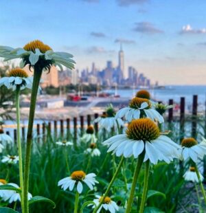 Heather Thomson Instagram - cherish those lost, kiss those you have near, be kind to a stranger, never take life for granted. #neverforget ❤️‍🩹

📸: Little Island, New York City

#newyork #nyer #nystrong ❤️