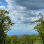 Heather Thomson Instagram – …head in the clouds

#scrambelin #hikingadventures #hudsonvalley #hikingwithdogs #moutaintimeisthebesttime #✌🏼
#berkshirehills #hometown