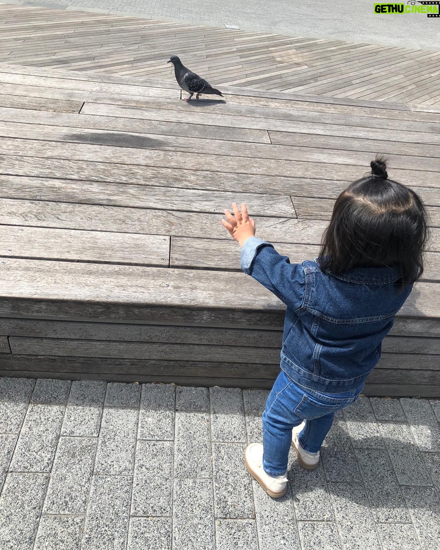 Heaven Hai - 2.6K Likes - 五月了!
一歲五個多月的女孩!
「哈囉!嗨!」
終於到了對世界比較勇敢主動打招呼的年紀,
雖然還是有些害羞緊張,
但不著急不用勉強,
就按照自己的節奏,
帥氣又自在去迎接任何新事物!