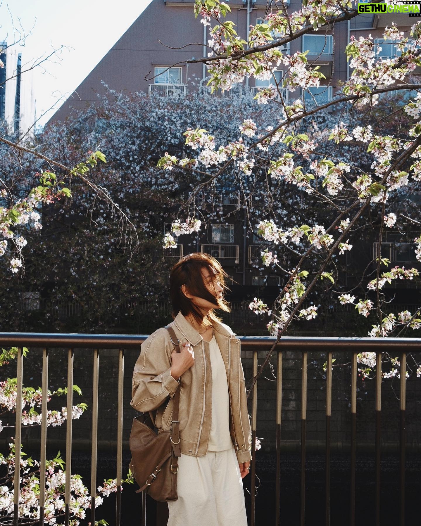 Hedwig Tam Sin-Yin - 12.7K Likes -
