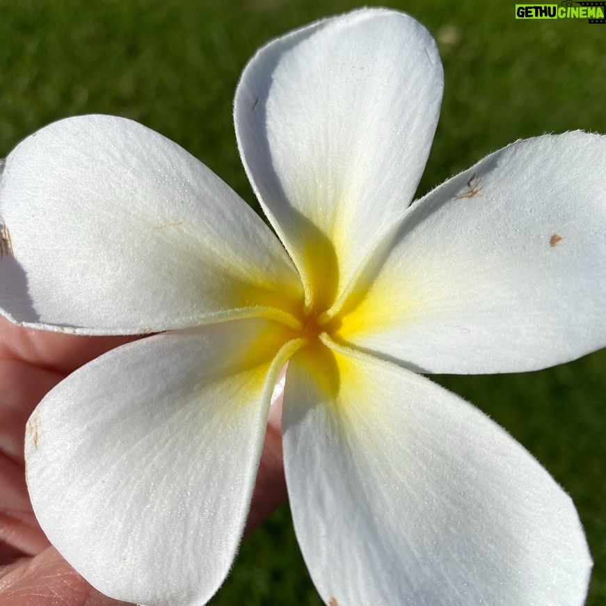 Helen Hunt - 3.8K Likes - WE CAN HELP
One Native Hawaiian resident equated the devastation in Lahaina Town to losing a family member, an Elder.
People are gone forever and many places too.
And….LahainaStrong is a saying for a reason.
The people of Lahaina Town and the surrounding areas will never get what they had back but they will rebuild. In the meantime, there needs to be diapers and food on the table and shelter for so many.
WE. CAN. HELP.
In my bio are links to the following organizations (scroll down) that I know will be helpful. In this case, $10 dollars really does matter. It’s a package of diapers. Please give what you can and a tiny bit more. People are in deep need right now.
Re-posting helps but DONATING is the thing.
Mahalo nui loa
Council for Native Hawaiian Advancement: @hawaiiancouncil In partnership with Alaka’ina Foundation Family of Companies and Kako’o, CNHA is MATCHING up to $100,000 in community donations for families impacted by the wildfires on Maui.
Maui Food Bank: I know first-hand @mauifoodbank has reliably collected and distributed food in Maui to those in need. They partner with Maui VOAD and the Feeding America Food Bank Network.
The Salvation Army: The Salvation Army is actively providing food and resources to evacuees affected by the Hawaii wildfires. @salvationarmyus
American Red Cross of Hawaii: The Red Cross is offering shelter, comfort and assistance to those affected. @hawaiiredcross
Maui Humane Society: Humans and animals are displaced. They urgently need support. @mauihumanesociety
GO FUND ME: @slatertrout grew up on Maui’s Westside. He and his family are dear to me. Many of his friends and family have lost their home. He is boots-on-the-ground. Slater is committed to raising money to distribute directly to his neighbors. He promises (and I have no doubt) to “…do my best to divide the funds evenly among the families most affected.” 🙏🏽🌈❤️