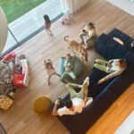 Helen Lindes Instagram – ¡¡¡Feliz día de Reyes!!! 👑👑👑Recap de unas Navidades maravillosas… 💙🎄❤️❄️ #family #friends #dogs #christmastime