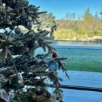 Helen Lindes Instagram – Mañana de Navidad… ilusión, familia, cariño… y recordando a los que ya no están o que están lejos. 💙 ¡¡Feliz Navidad a todos!! #merrychristmas #diadenavidad