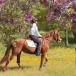Helen Lindes Instagram - Si algún día desaparezco, estaré montando a caballo 😂🐎🌸🥰 Disfrutando de la primavera en todo su esplendor… ratitos mágicos con Reina 🙌 #caballo #hipicamadrid #hipicasomosaguas