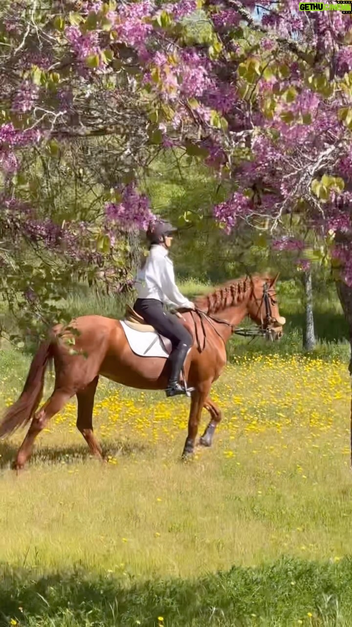 Helen Lindes Instagram - Si algún día desaparezco, estaré montando a caballo 😂🐎🌸🥰 Disfrutando de la primavera en todo su esplendor… ratitos mágicos con Reina 🙌 #caballo #hipicamadrid #hipicasomosaguas