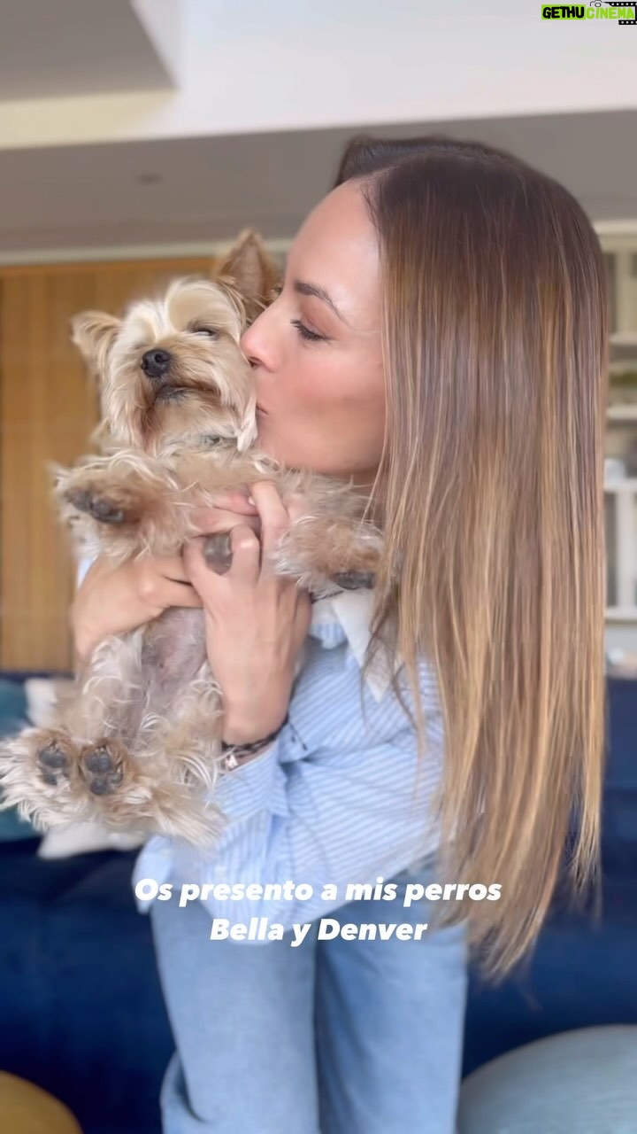 Helen Lindes Instagram - La mejor solución para los pelos de mis mascotas!! La escoba X-Force Flex 12.60 Animal Care de @rowenta_es ❤️🐶🐕 #rowenta #houseproud #TrendyAndProud